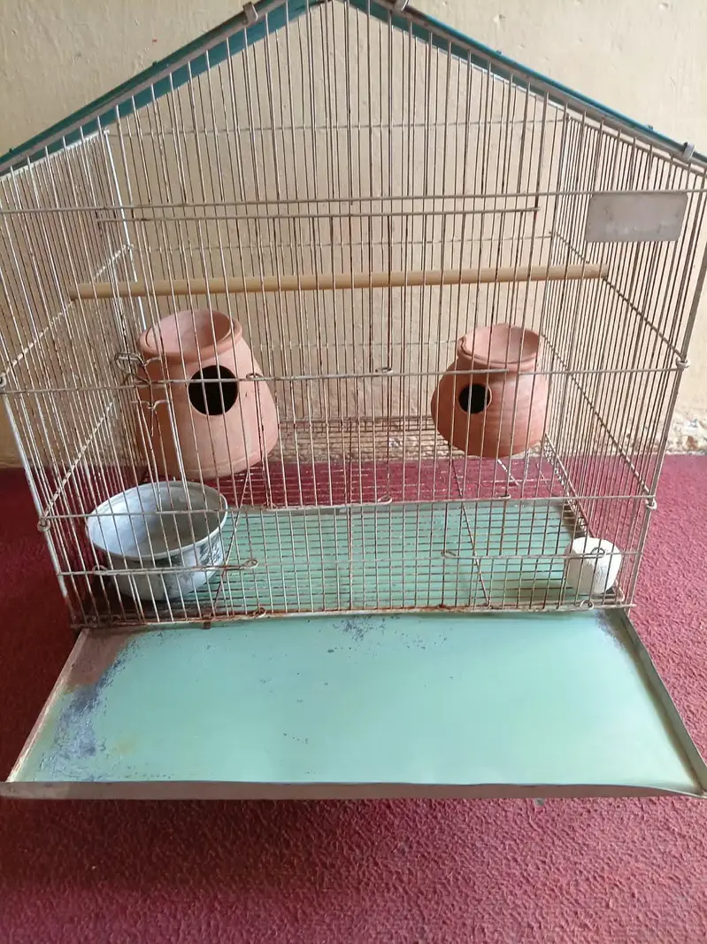 Large Bird Cage with 4 Healthy Zebra Finches (Complete Package) — photo 8