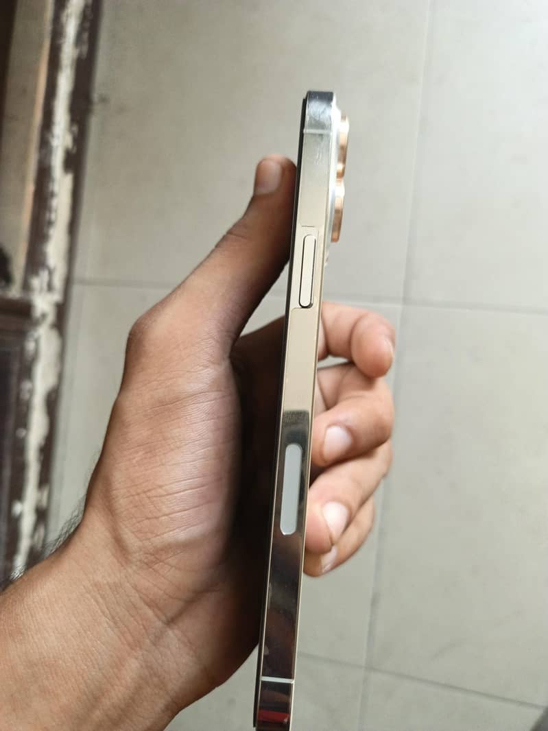 Apple iPhone 13 Pro Max 2