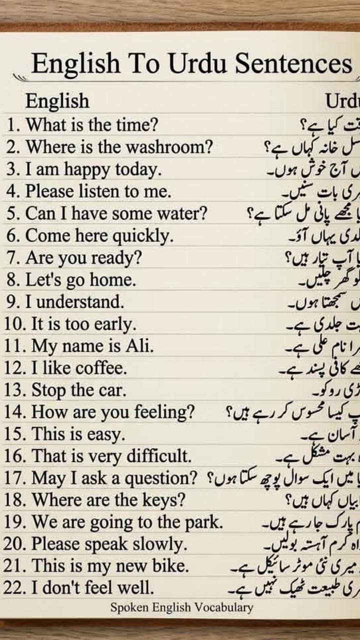 rajput Arab 0