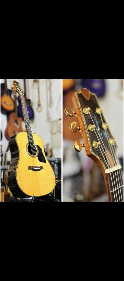 semi Acoustic Guitar