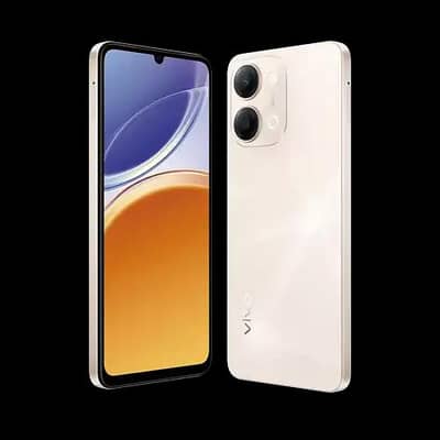 Vivo Y11 D