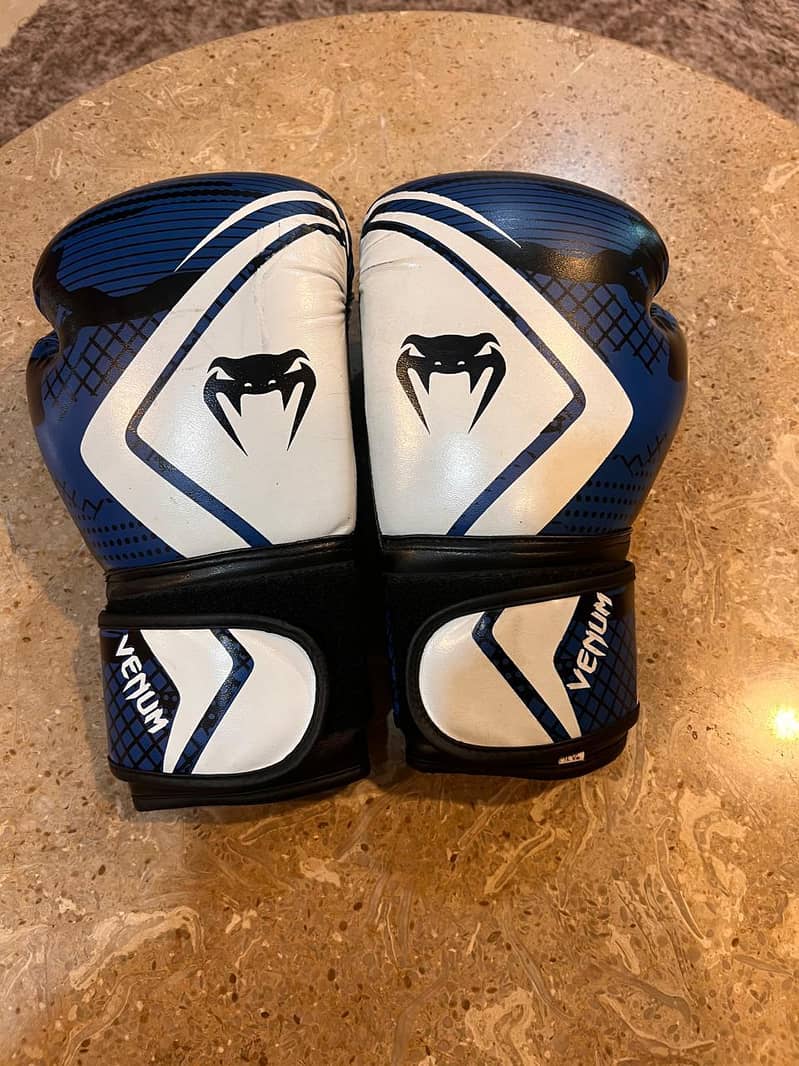 boxing gloves 1