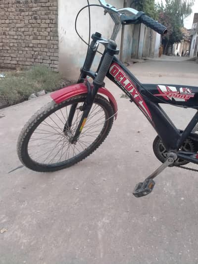 sport cycle 03175259659