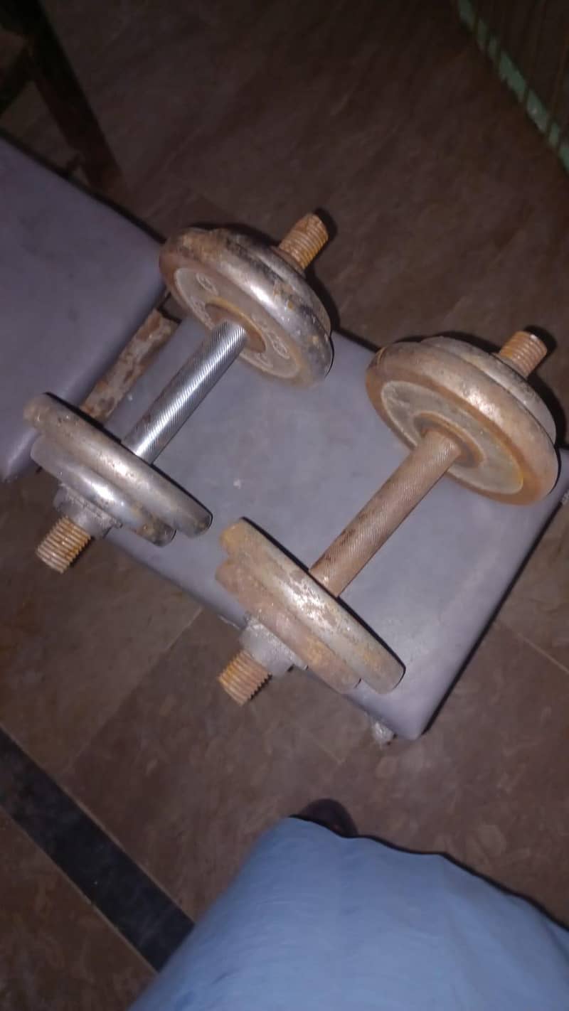 dumbbells 2