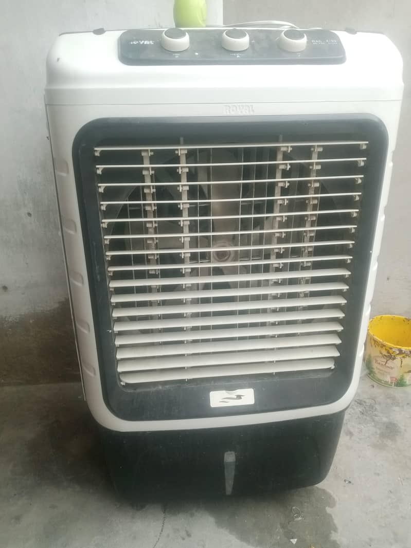 airqular royal 0