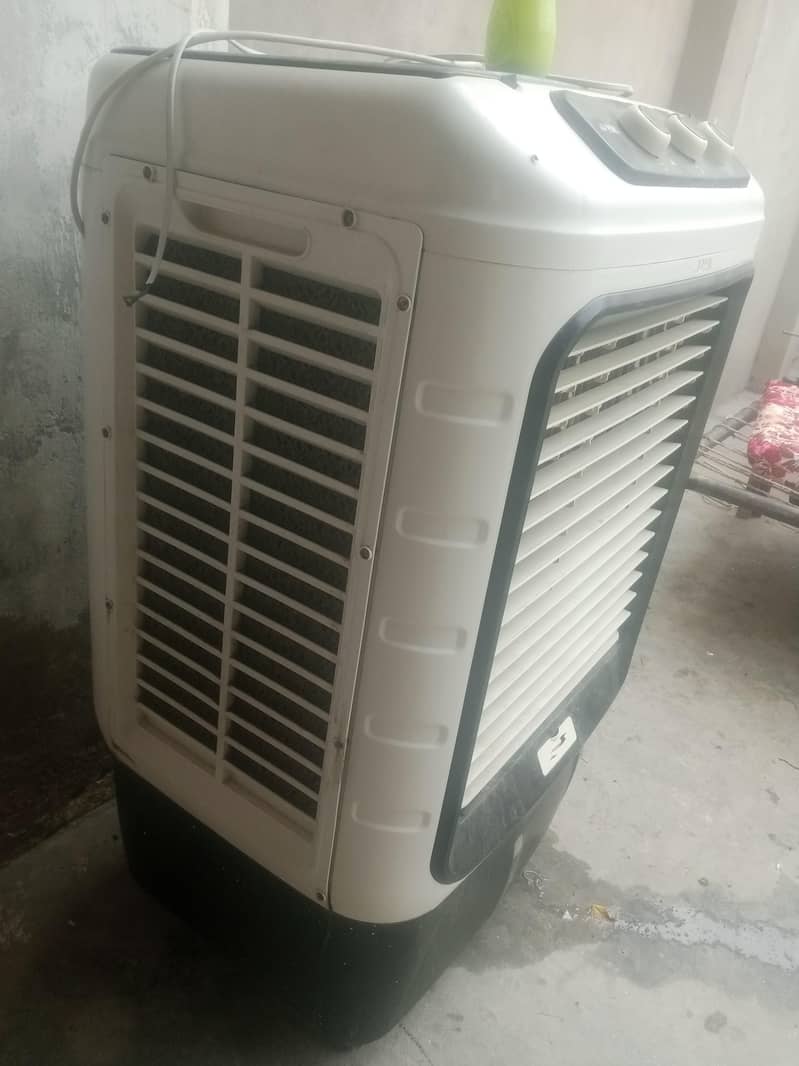 airqular royal 1