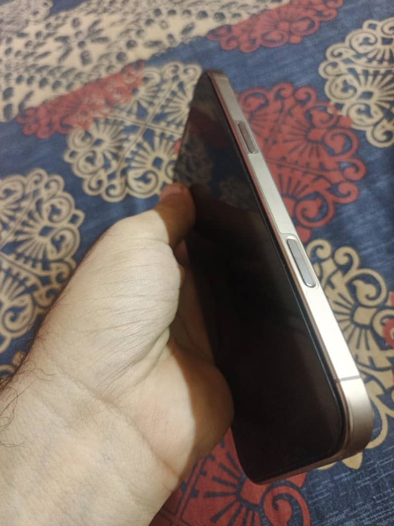 Apple iPhone 16 Pro Max 1