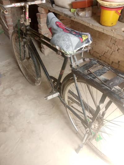 new shorab cycle