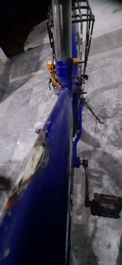 Bicycle Flying Horse 20"
