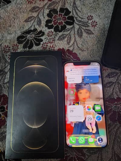 Apple iPhone 12 Pro Max