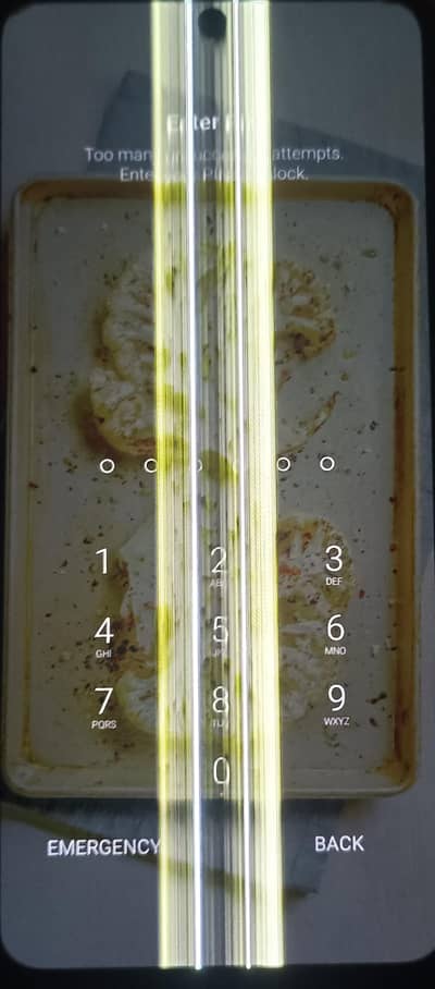 Redmi Note 12 OLED Panel