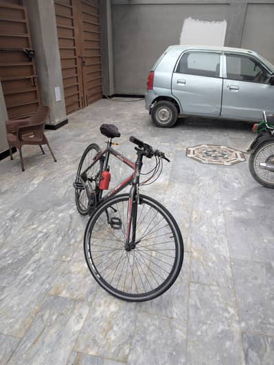 speed cycle
