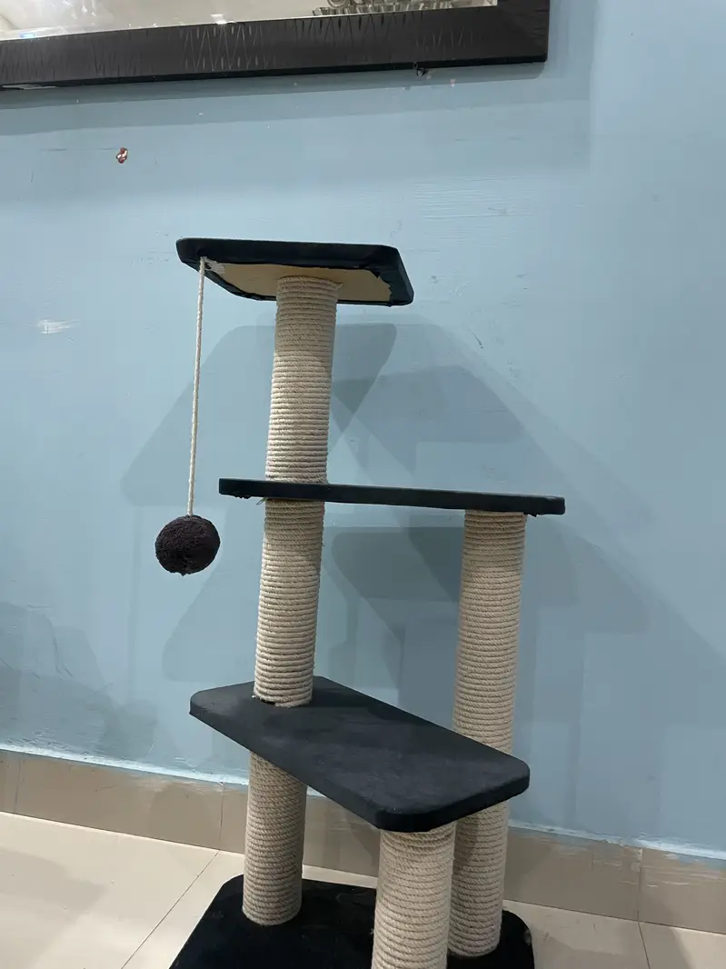 Cat Scratcher for sale — photo 2