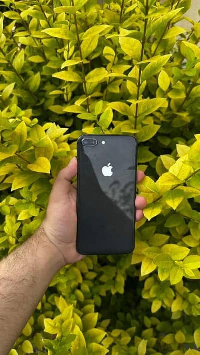 Apple iPhone 8 Plus