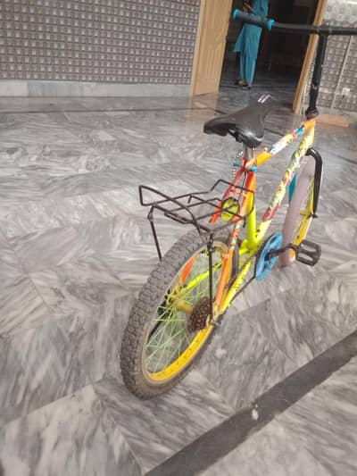 phoenix cycle 20 size