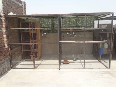 birds and cage. 0321.7523669