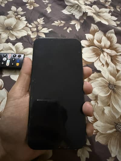 iPhone 13 Pro Max non pta