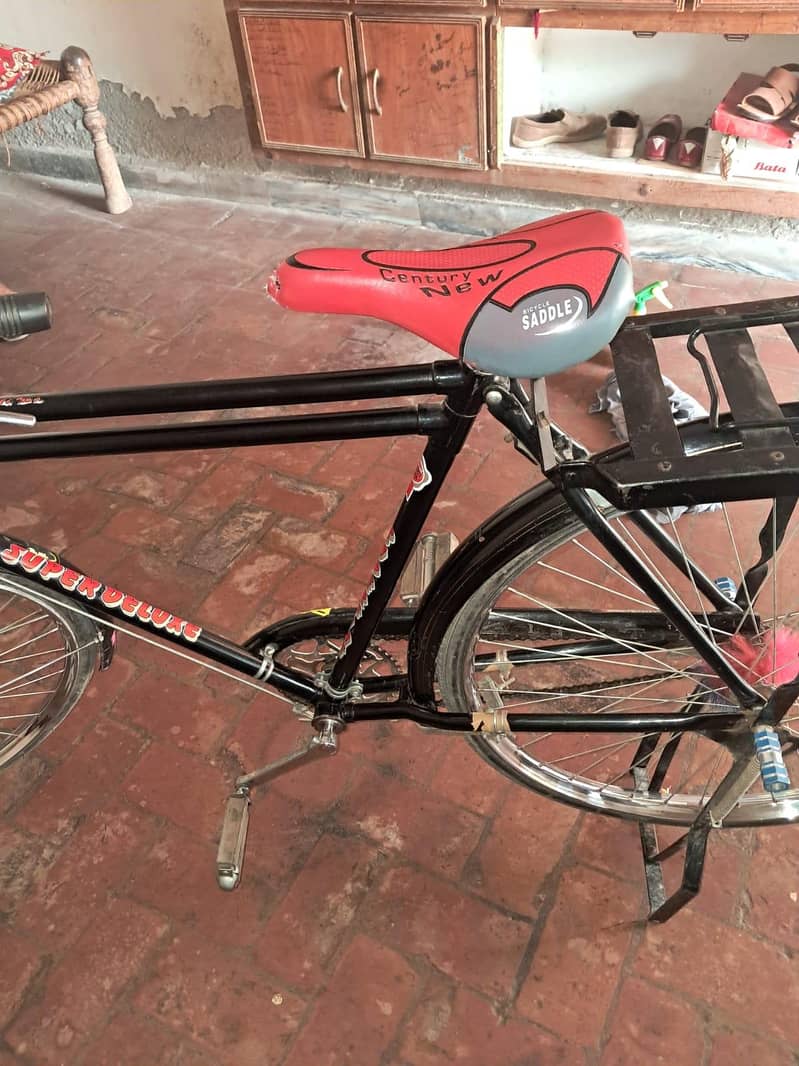 bicycle 2