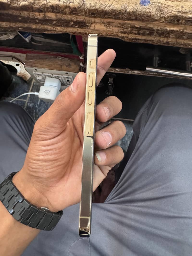 Apple iPhone 13 Pro Max 1