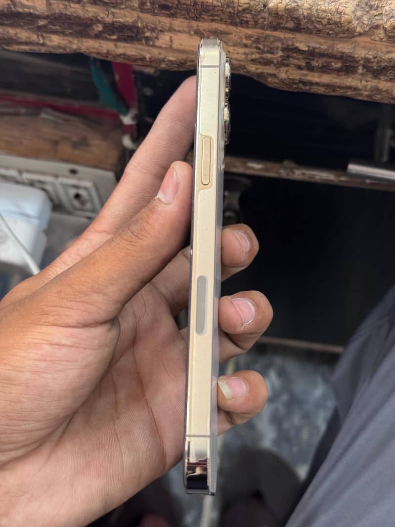 Apple iPhone 13 Pro Max 5