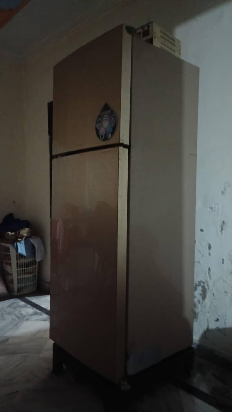 singar 6