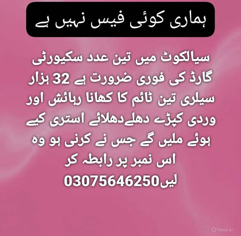 ٹائیگر سکیورٹی سروسز لاہور 0