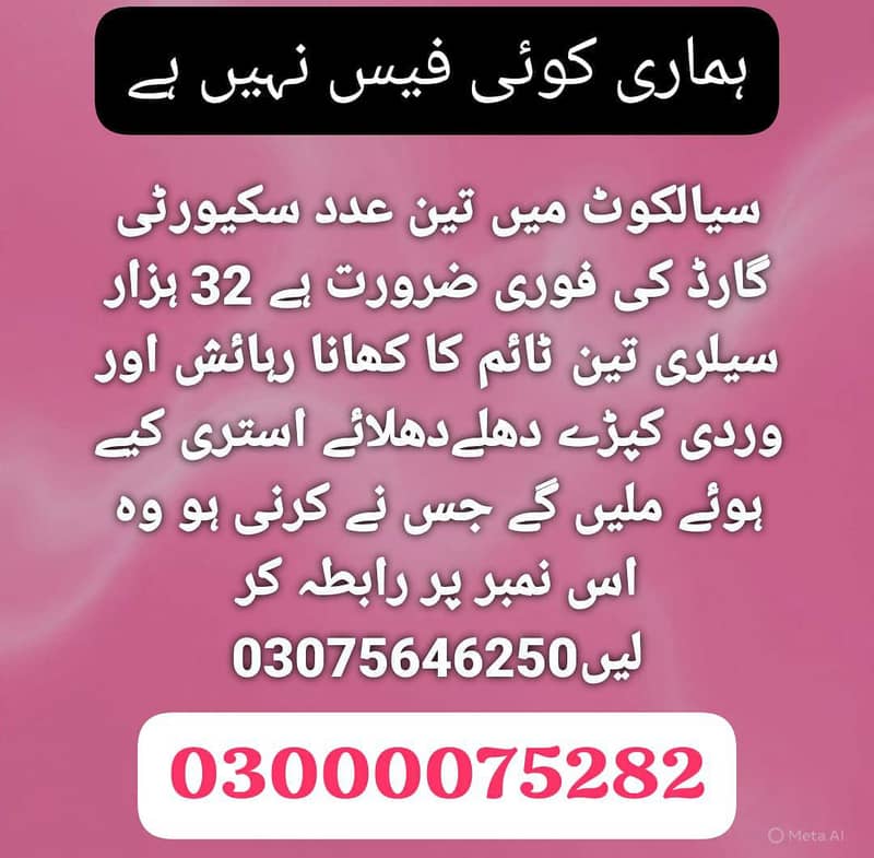 ٹائیگر سکیورٹی سروسز لاہور 1