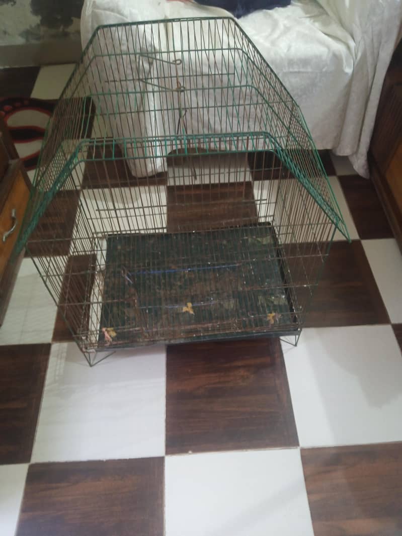 Cages 7