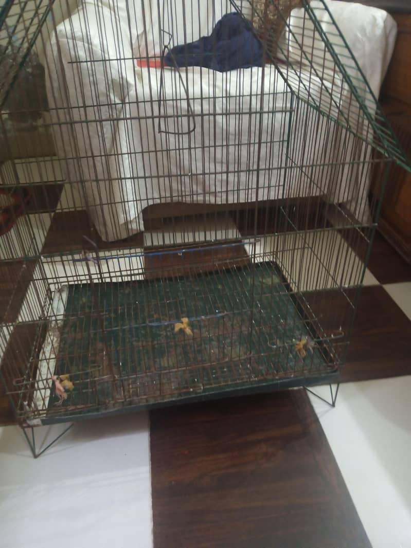 Cages 8