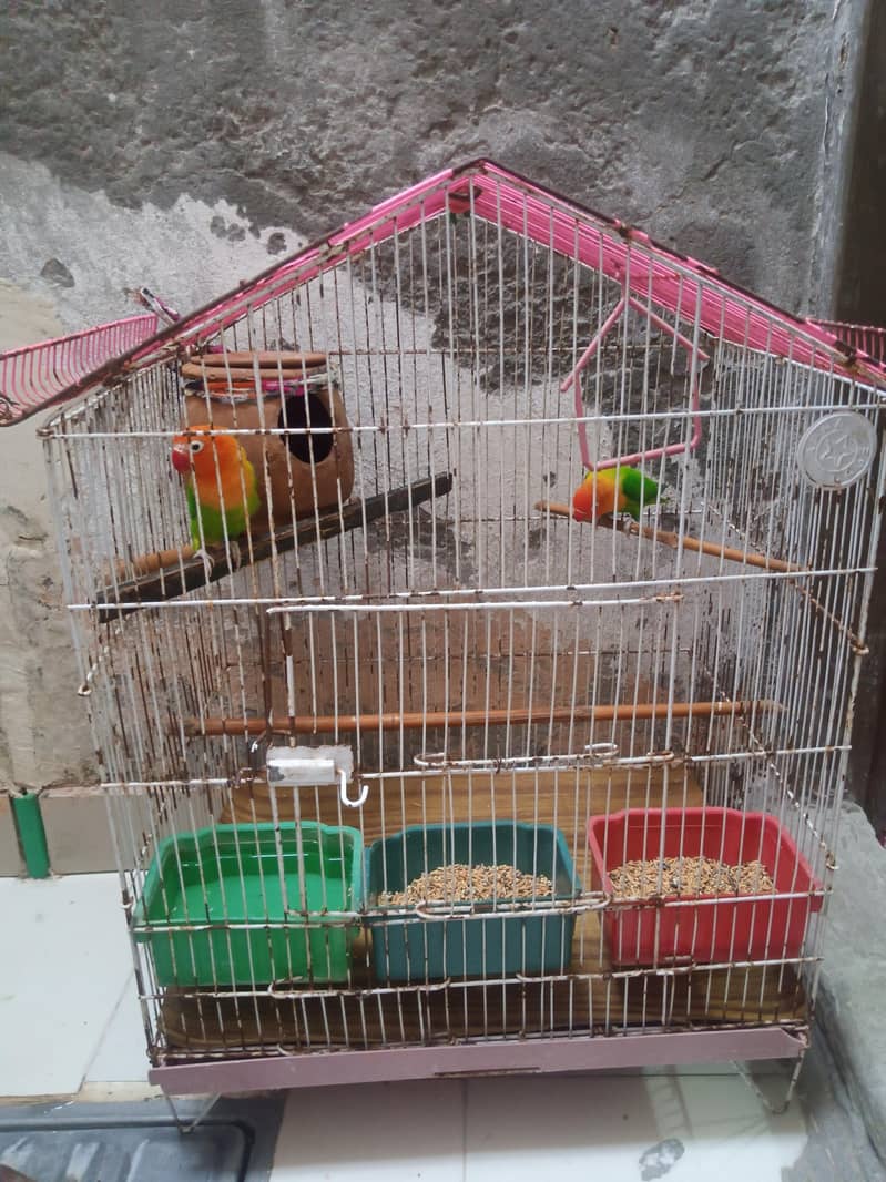 Cages 9