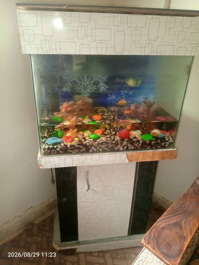 Fish aquarium for sale