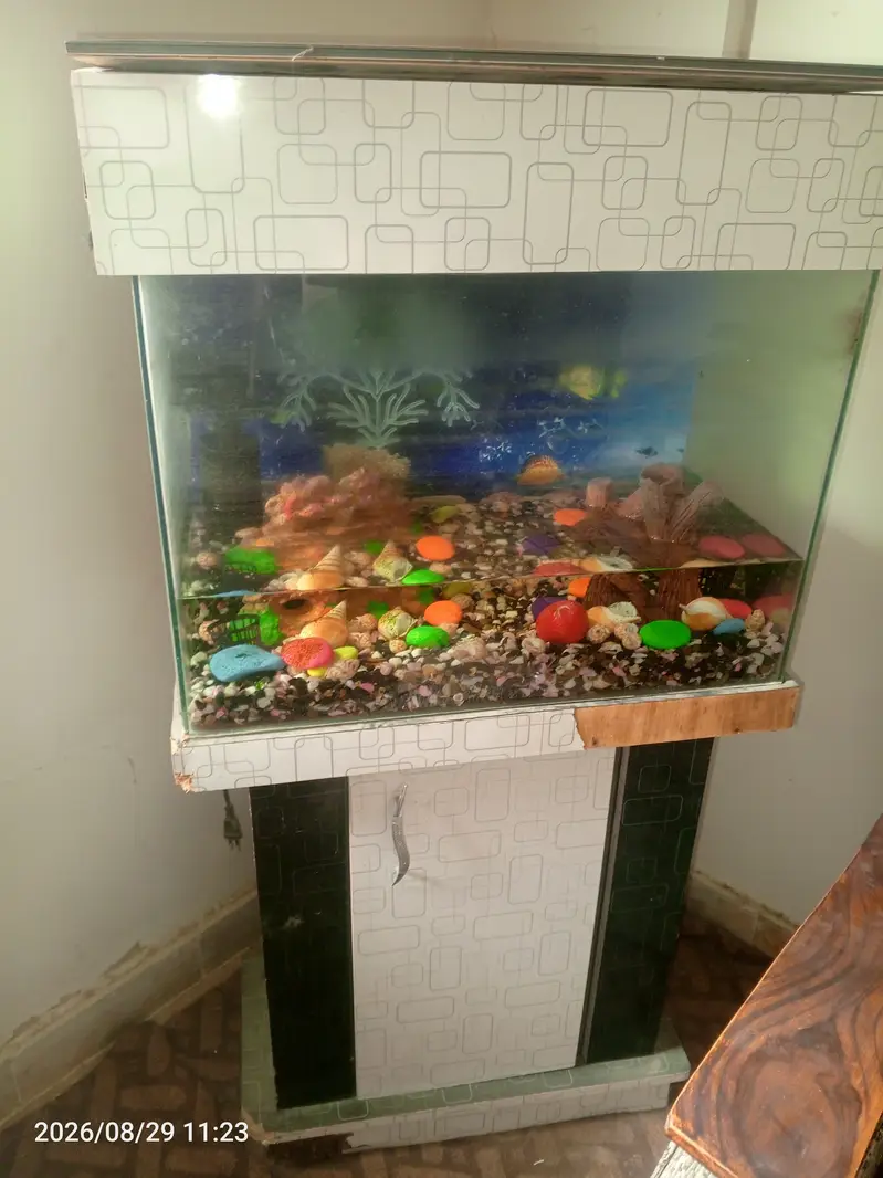 Fish aquarium for sale — photo 2