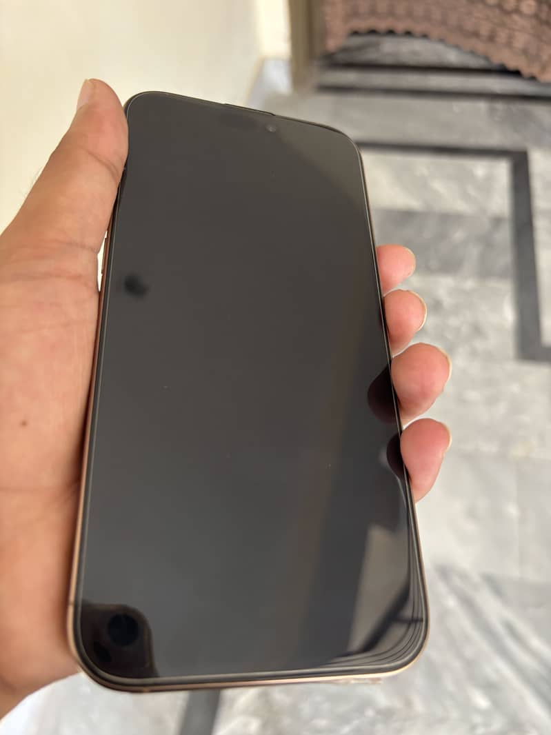 Apple iPhone 16 Pro Max 1