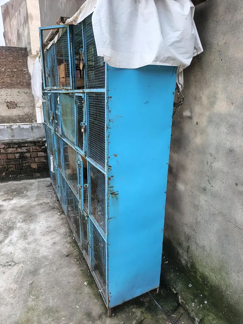 birds cages for sale     contact on whatsapp — photo 2