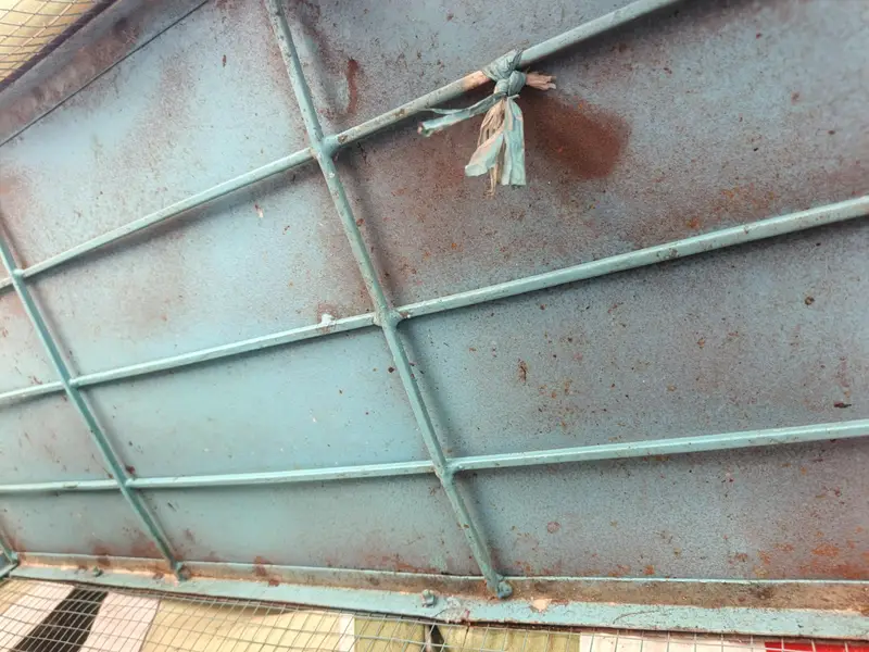 birds cages for sale     contact on whatsapp — photo 4