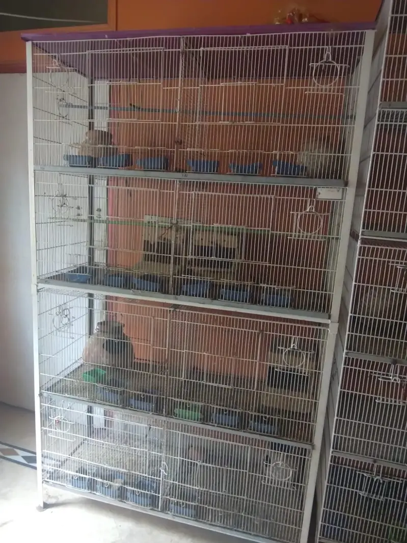 birds/parrots cage 8-Portion and 5-portion — photo 2