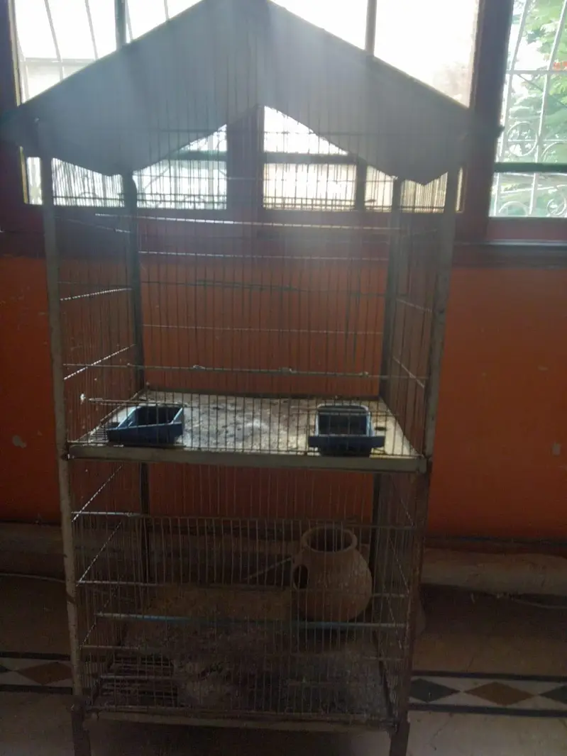 birds/parrots cage 8-Portion and 5-portion — photo 3