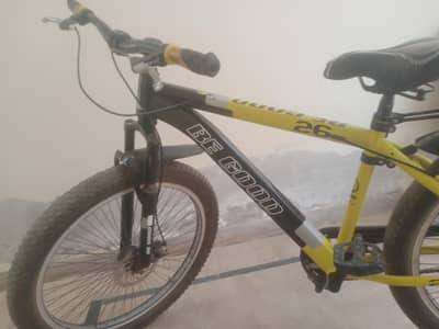 the mountain bike