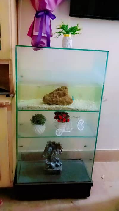 Fish aquriam