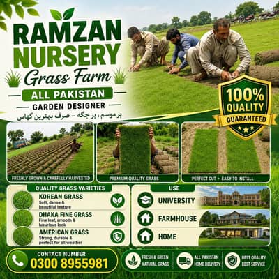 Ramzan Nursery / Grass / Indoor grass / Natural grass / lawn Grass