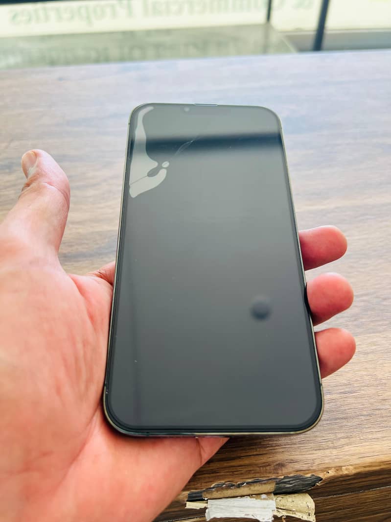 Apple iPhone 13 Pro Max 5