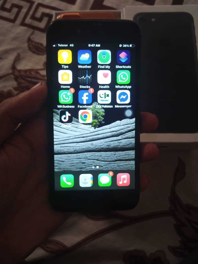 Apple iPhone 7 1