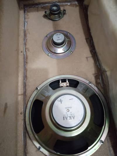 Akai speakars 10 inch