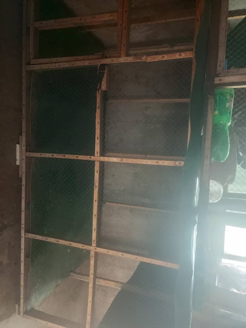hen cage 2