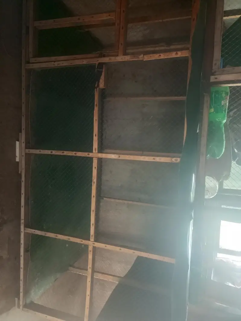 hen cage — photo 3