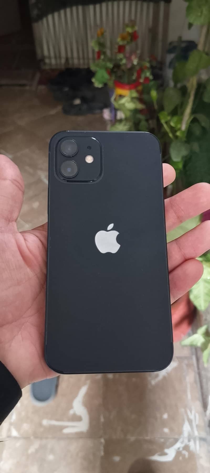 Apple iPhone 12 0