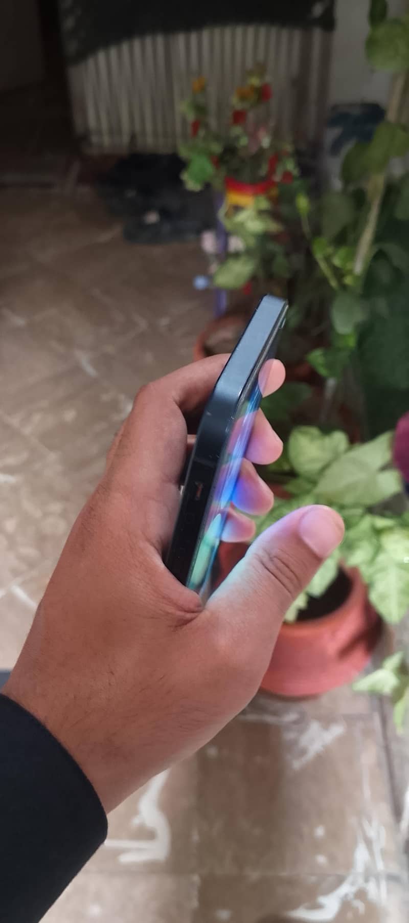 Apple iPhone 12 2