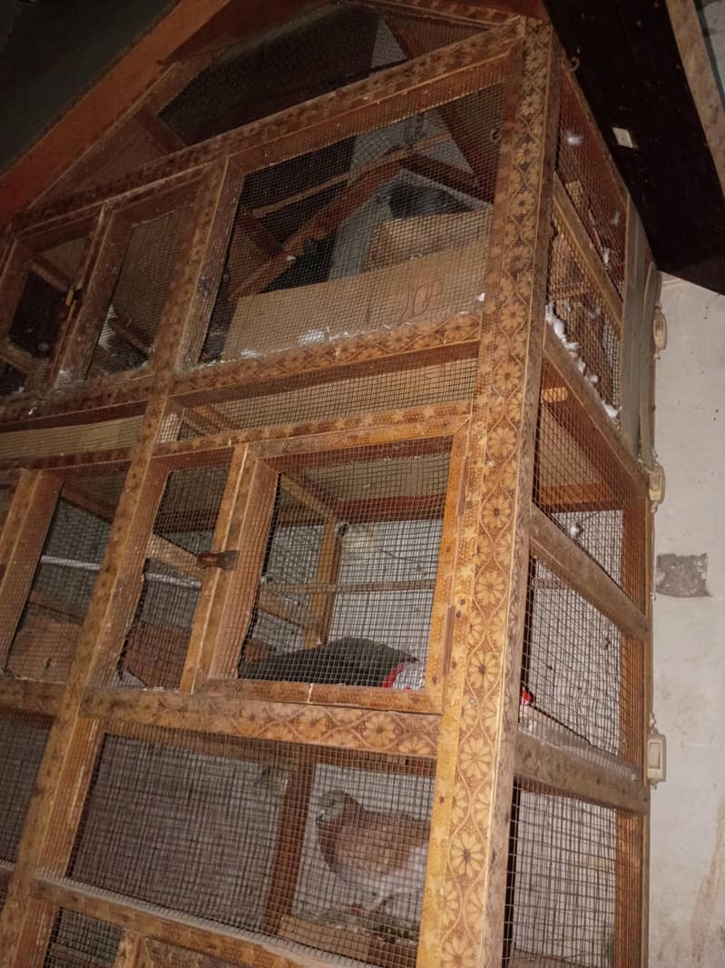 Bird Cage 0