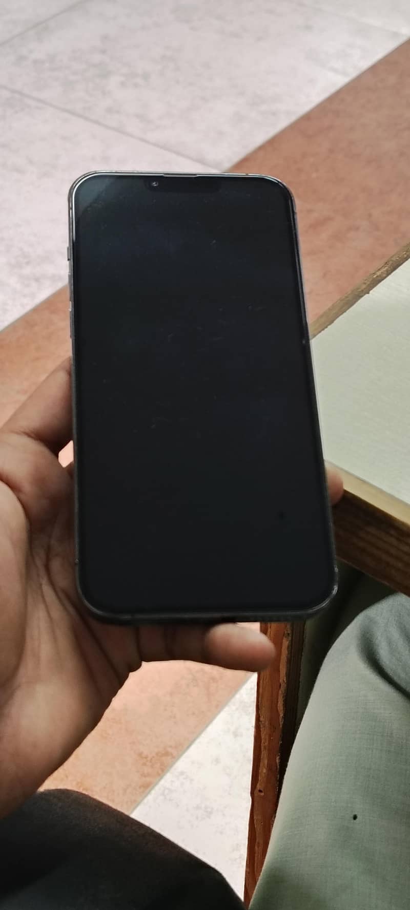 Apple iPhone 13 Pro Max 1