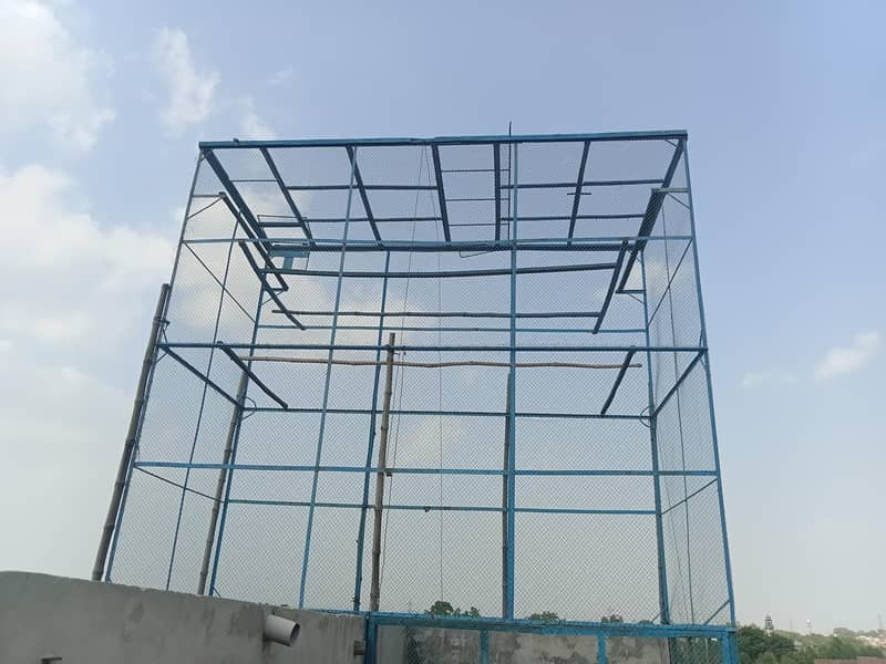 کبوتروں کا جال 1